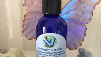Permalink to: Lavender Blessings